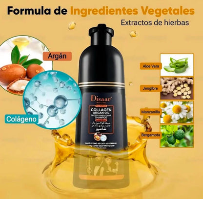 SHAMPOO TINTE CUBRE CANAS DISAAR® - Resultados desde el primer uso 💯✔️